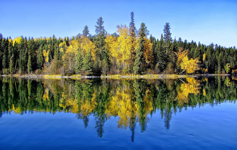 Fall colours on Bridge Lake, BC